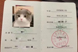 陜西省省級(jí)監(jiān)理工程師2020年陜西省監(jiān)理工程師報(bào)考條件