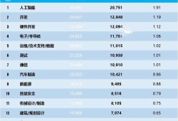 軟件工程師薪酬等級軟件工程師工資結構