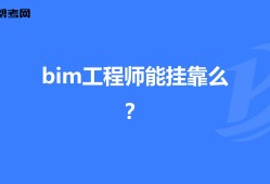 bim工程師那個出的最好bim工程師考哪個軟件