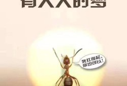 二級建造師就業前景如何？該報考嗎？