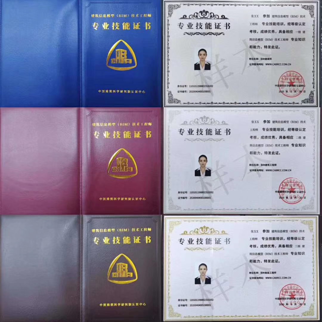 bim工程師戰(zhàn)略規(guī)劃師bim戰(zhàn)略規(guī)劃師是哪個部門頒發(fā)的  第1張
