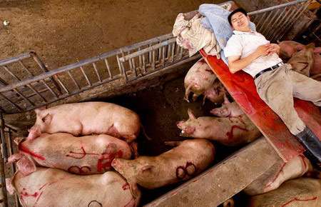 豬圈設(shè)計(jì)圖豬圈設(shè)計(jì)圖片大全 農(nóng)村 家用  第1張