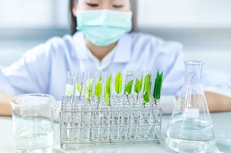 bim工程師證書有什么bim工程師證書能干嘛 第1張 bim工程師證書有什么bim工程師證書能干嘛 第1張